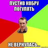 пустив кобру погулять не вернулась...