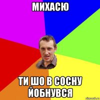 михасю ти шо в сосну йобнувся