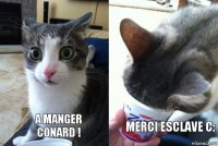  a manger conard !  merci esclave c: