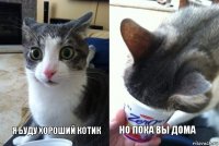 Я буду хороший котик Но пока вы дома