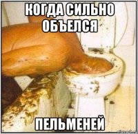 когда сильно объелся пельменей