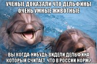 ученые доказали что дельфины очень умные животные вы когда-нибудь видели дельфина который считает, что в россии норм?