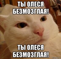 ты олеся безмозглая! ты олеся безмозглая!