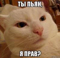 ты пьян, я прав?