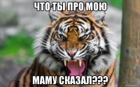 что ты про мою маму сказал???