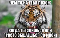 чем то на тебя похож когда ты злишься или просто общаешься со мной)