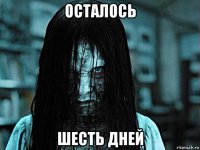 осталось шесть дней