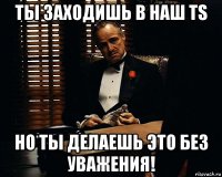 ты заходишь в наш ts но ты делаешь это без уважения!