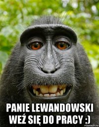  panie lewandowski weź się do pracy :)