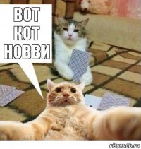 ВОТ КОТ НОВВИ