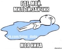 где. мой. милый.зайчик моя ника