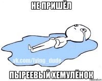 не пришёл пыреевый хемулёнок