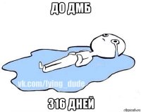 до дмб 316 дней