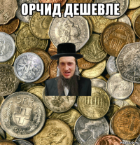 орчид дешевле 