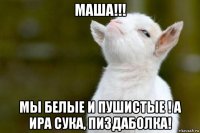 маша!!! мы белые и пушистые ! а ира сука, пиздаболка!