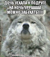 дочь уехала к подруге на ночь!уррааааа можно забухать)))) 