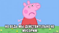  но ведь мы действительно не мусорим
