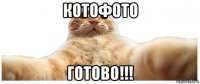 котофото готово!!!