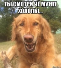 ты смотри чё мутят холопы... 