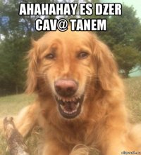 ahahahay es dzer cav@ tanem 