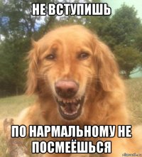 не вступишь по нармальному не посмеёшься