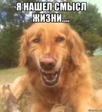 я нашел смысл жизни.... 