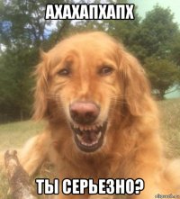 ахахапхапх ты серьезно?