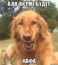 а на ферме будет кафа