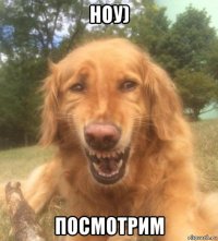 ноу) посмотрим