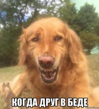  когда друг в беде