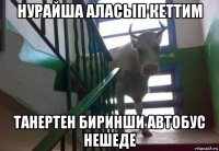 нурайша аласып кеттим танертен биринши автобус нешеде