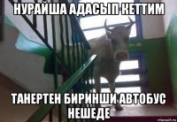 нурайша адасып кеттим танертен биринши автобус нешеде