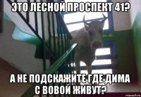 это лесной проспект 41? а не подскажите где дима с вовой живут?