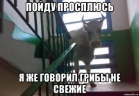 пойду просплюсь я же говорил грибы не свежие