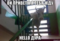 ой привет а я тебя жду hello дура