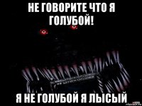 не говорите что я голубой! я не голубой я лысый