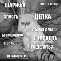 шарифа старость целка не замужем безисходность амир не придет что делать? злость утоплюсь старая дева