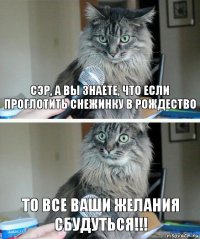 СЭр, а вы знаете, что если проглотить снежинку в рождество то все ваши желания сбудуться!!!