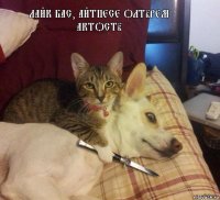 Лайк бас, айтпесе олтiрем актостi 
