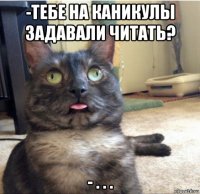 -тебе на каникулы задавали читать? - . . .