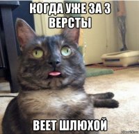 когда уже за 3 версты веет шлюхой