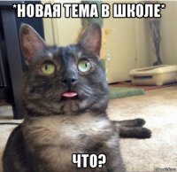 *новая тема в школе* что?