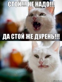 СТОЙ!!! НЕ НАДО!!! ДА СТОЙ ЖЕ ДУРЕНЬ!!!