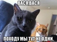 вася,вася походу мы тут не одни.