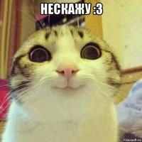 нескажу :з 