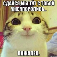 сдайся,мы тут с тобой уже упоролись.. пожалел.