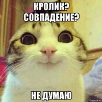 кролик? совпадение? не думаю