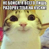 не бойся, я всего лишь разорву тебя на куски! 