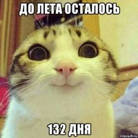 до лета осталось 132 дня