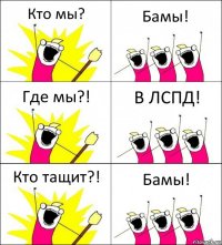 Кто мы? Бамы! Где мы?! В ЛСПД! Кто тащит?! Бамы!